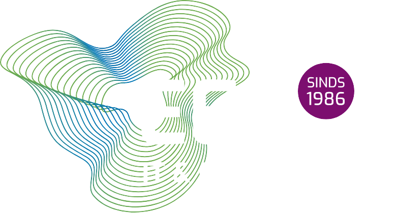 EES It & Communicatie logo